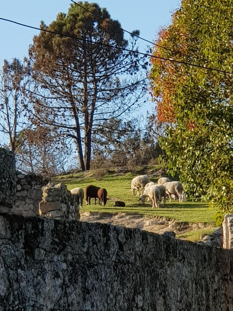 Hotel Rural Mira Serra Mangualde Exteriér fotografie